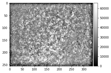 ../_images/hdf5_filter_hdf5_13_1.png